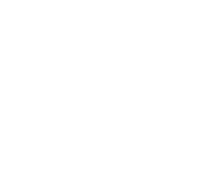 Gypsy Team Spirit
